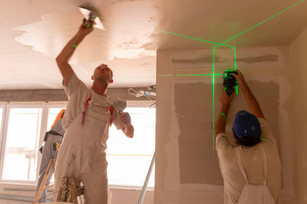 Best Drywall Removal and Disposal  in Avalon, CA